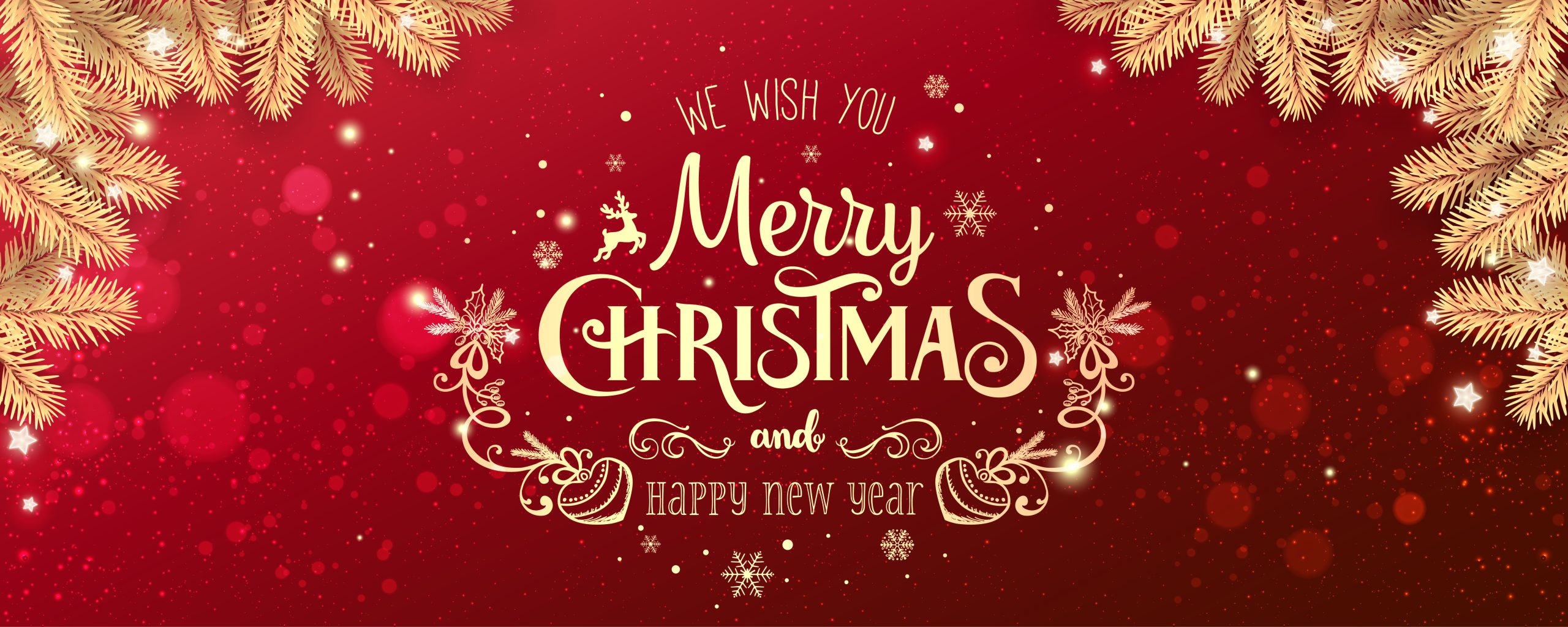 We wish you Merry Christmas and Happy New Year
